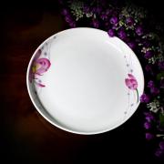 Melamine 10