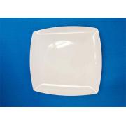 #8619-Melamine 10.5