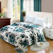 #F5132-7, 3.5KG Queen Size 2PLY Super Soft Blanket 79